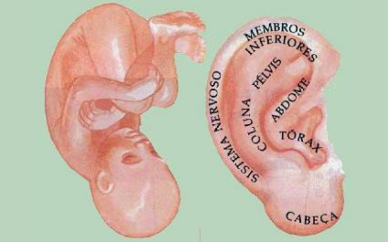 Auriculoterapia - aplicações clínicas odontológicas