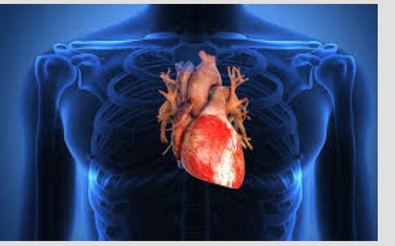 Cardiologista orienta como viver bem mesmo com insuficiência cardíaca