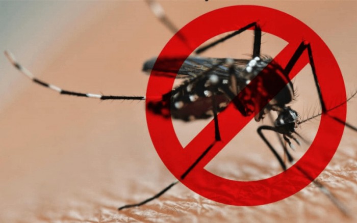 Dengue - Retorno de Cepas