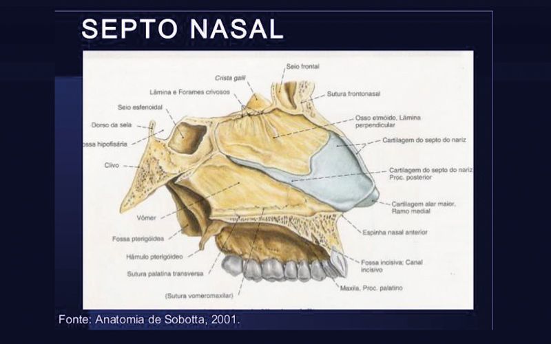 Matéria Científica: Convergência da Odontologia com a Medicina através da Tomografia Computadorizada