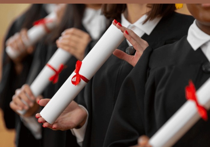 Me formei em Odontologia. E agora?